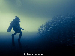 Go Back!!! by Budy Lukman 